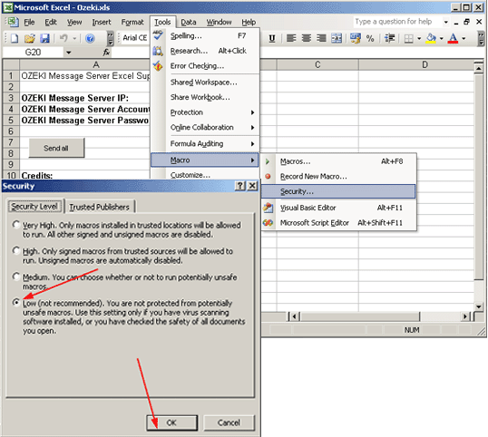 setting up the security level in ms excel
