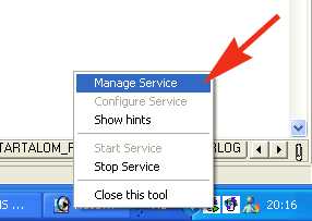 Starting the Manage Service