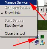 how to manage services in ozeki message server